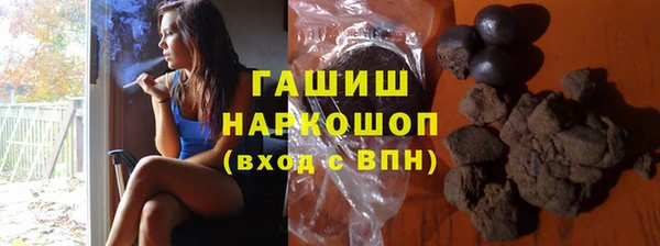 стаф Алзамай