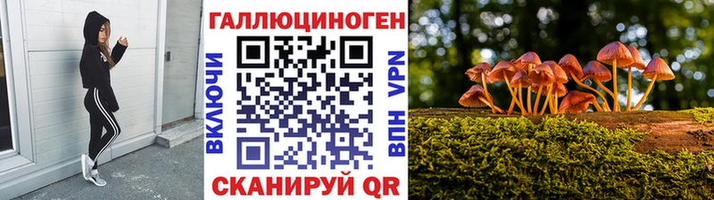 Псилоцибиновые грибы MAGIC MUSHROOMS  omg ссылка  Андреаполь 