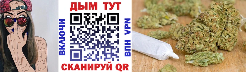 MEGA онион  Андреаполь  Марихуана гибрид 